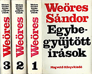 0579000161931P